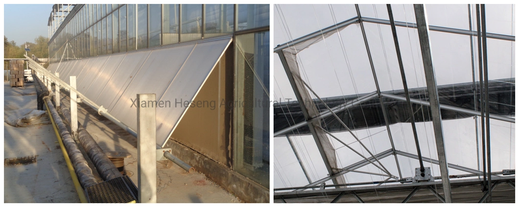 Venlo Hollow Double Tempered Glass Greenhouse with Hydroponics Growing System for Vegetables/Flowers/Tomato/Farm/Garden/Eco Restaurant/Agriculture/Crops