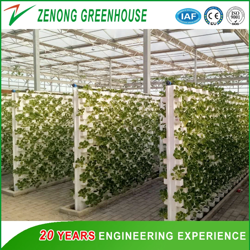 Various Types of Green House Hydroponics Products for Tourism Sightseeing/Gardening/Experiment