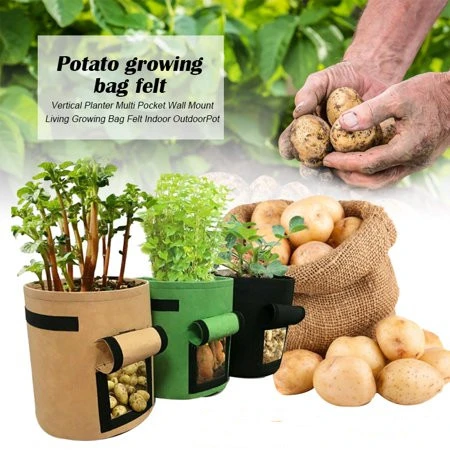 Non woven Fabric Pots Grow Bags With Strap Handle