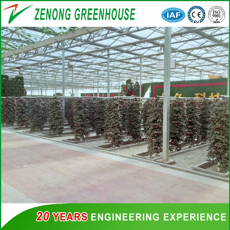 Various Types of Green House Hydroponics Products for Tourism Sightseeing/Gardening/Experiment