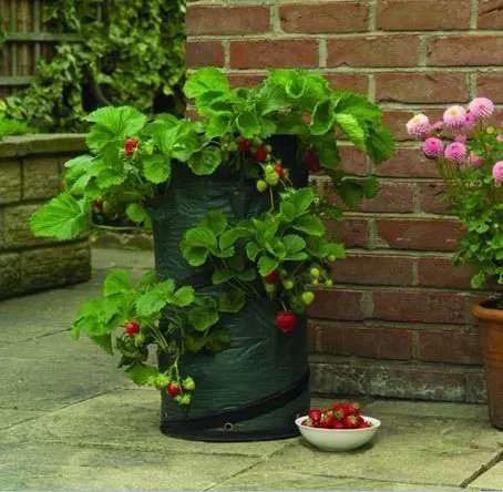 Planting Garden Round Fabric Felt Pot Non-Woven Smart Grow Bags
