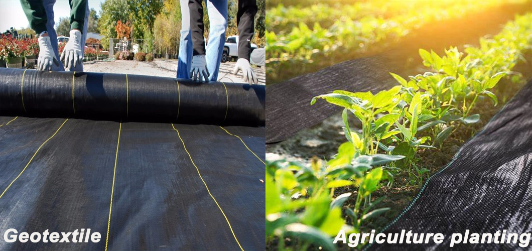 Ground Cover Mats Weed Mat Factory Weedmat Plastic Products for Greenhouse with High Quality