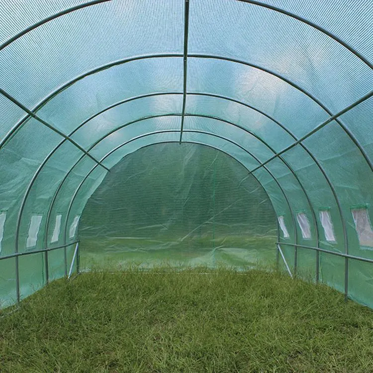 High Quality Agricultural Indoor Garden Greenhouse Grow Tents for Sale Made in China