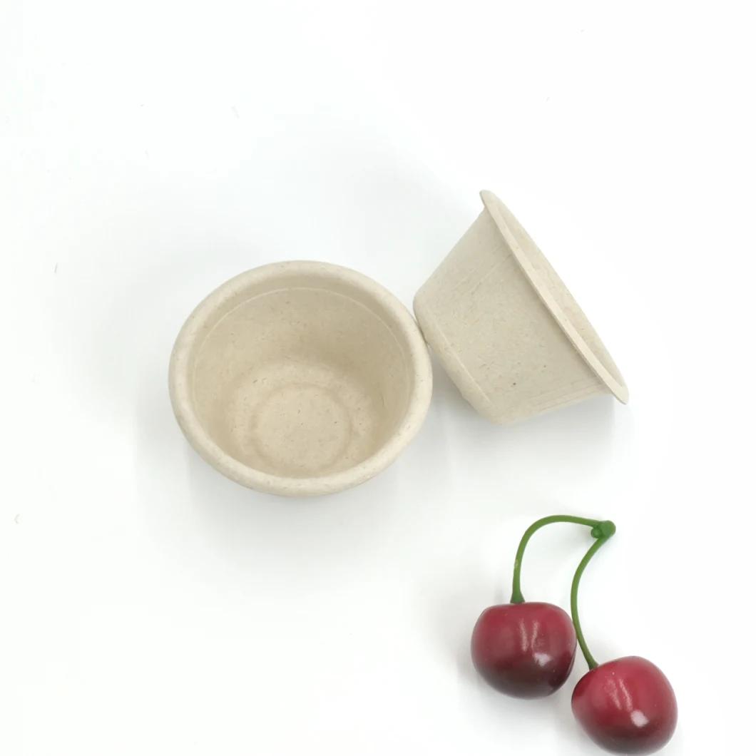 Eco-Friendly Sugarcane Bagasse Biodegradable Disposable Fried Chicken Sauce Bowl Supply
