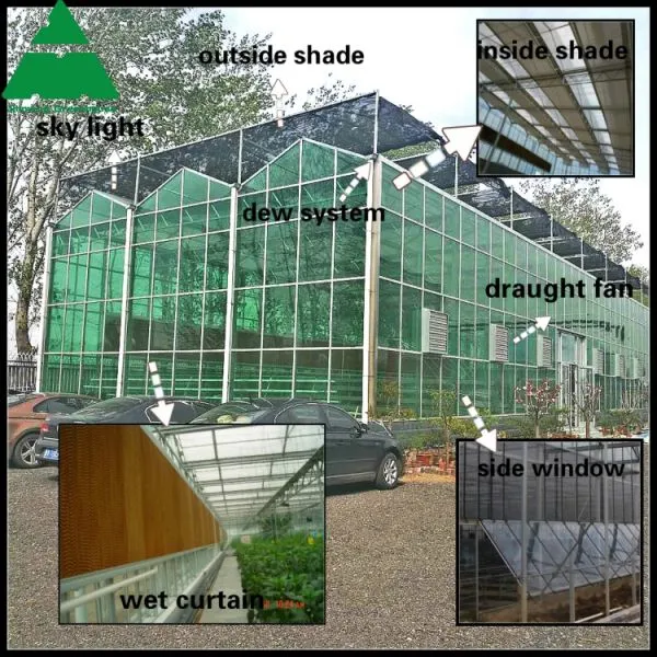 Four Season Green House Energy-Saving Aluminium Glass House Garden House Sun Room