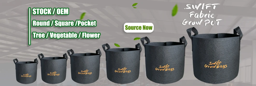 BPA Free Customized Color Black Breathable 5 Gallon Square Fabric Grow Bags for Indoor and Outdoor Garden