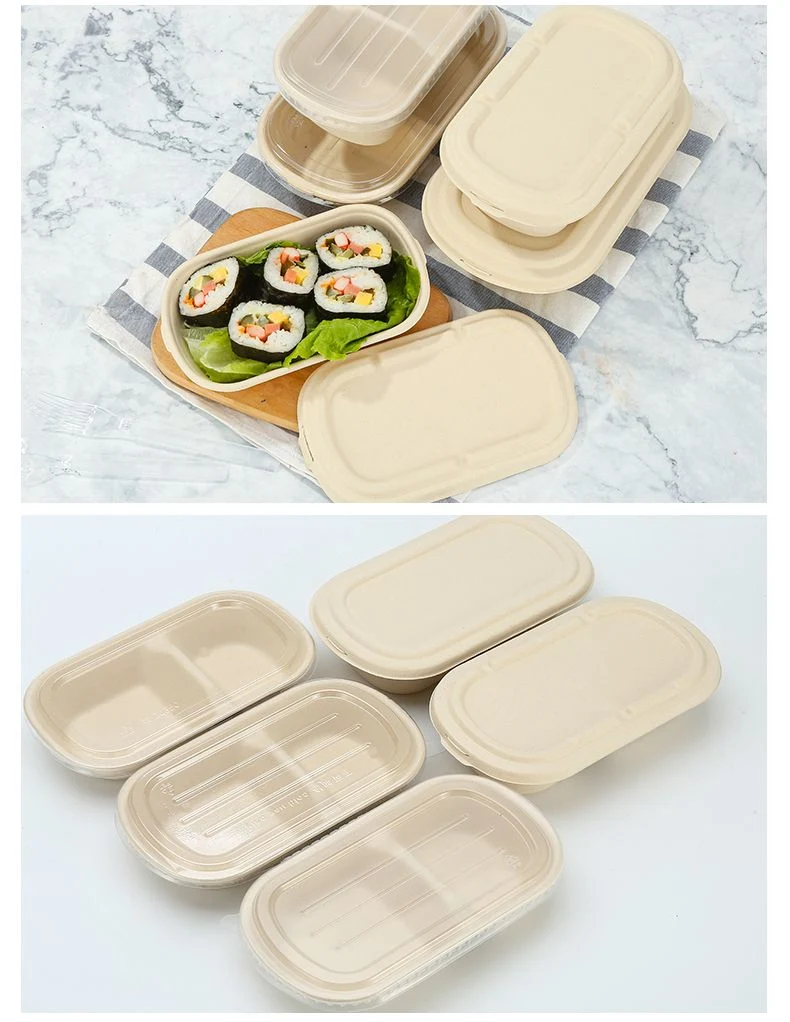 Durable PET Lid for 620ml and 720ml Biodegradable Sugarcane Bagasse Box Factory Supply