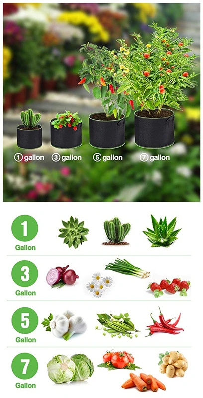 Grow-Green2-Pack Garden Potato Grow Bags, 7 Gallon Garden Vegetables Planter Bags