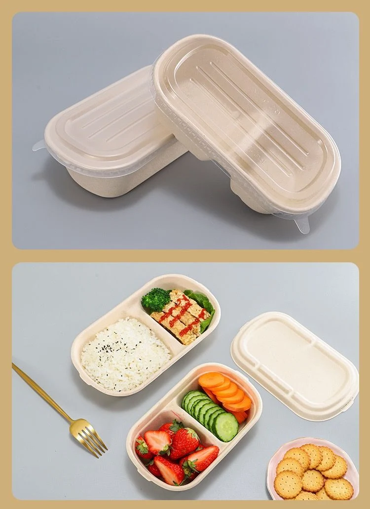 Durable PET Lid for 620ml and 720ml Biodegradable Sugarcane Bagasse Box Factory Supply
