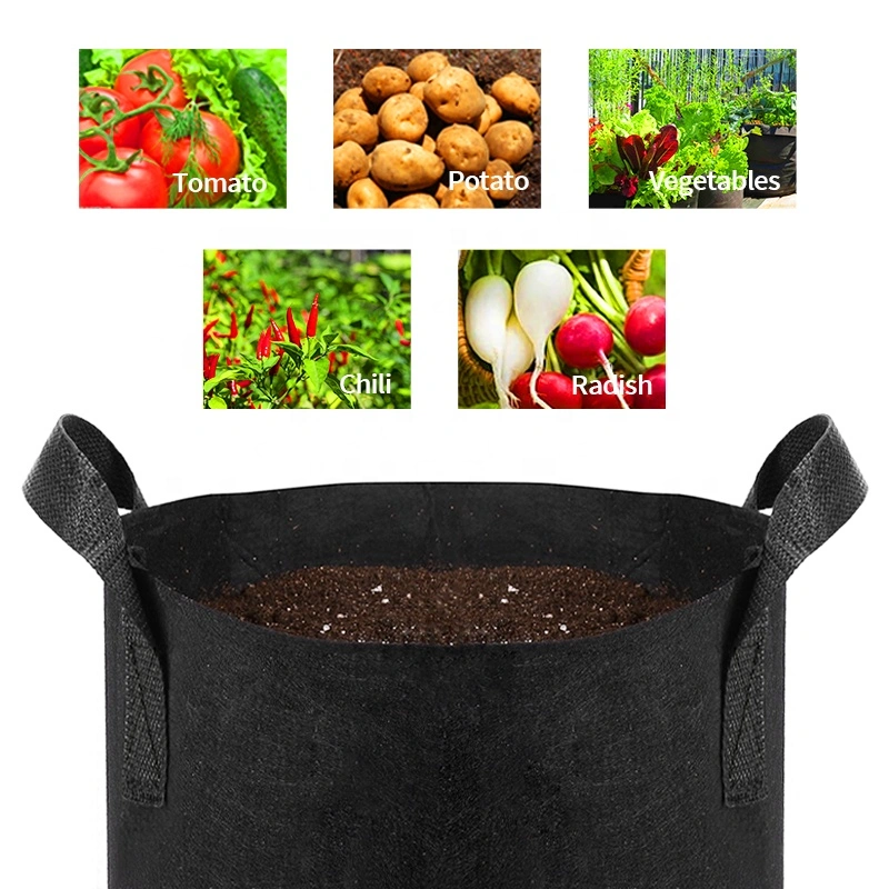 Customize Size 10 Gallon Non Woven Fabric Gardening Pot Plant Grow Bags