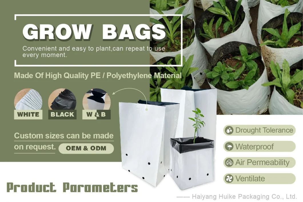 Anti-UV 1/8-45 Gallon Planting Bags Poly Garden Bag/PP Bag/Grow Bags for Tomatoes, Fruits