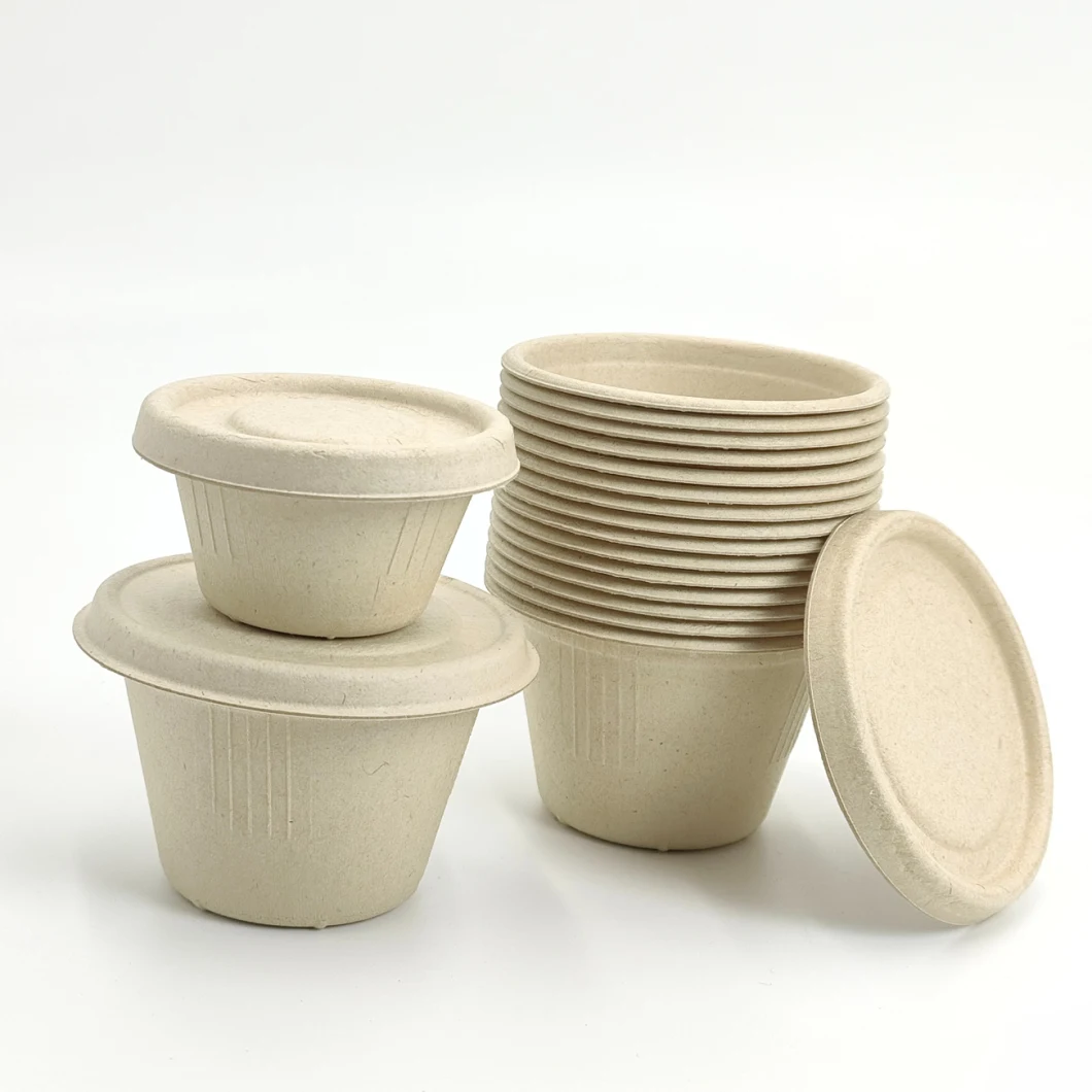 Eco-Friendly Sugarcane Bagasse Biodegradable Disposable Fried Chicken Sauce Bowl Supply