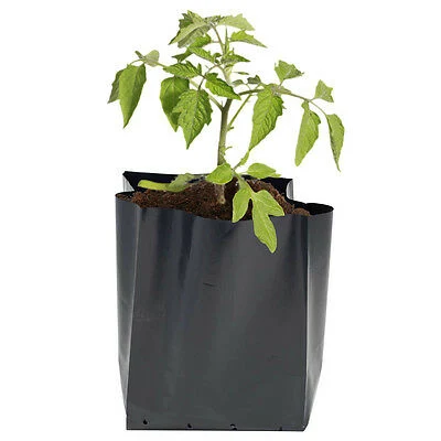 Grow Bags- Plant Container Bag- Custom Order Nursery Bags