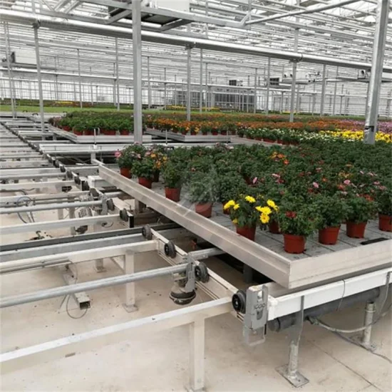 Agriculture Planting Ebb and Flow Logistics Seedbed Tidal Grow Tray Tables Rolling Benches for Commercial Greenhouse Benches