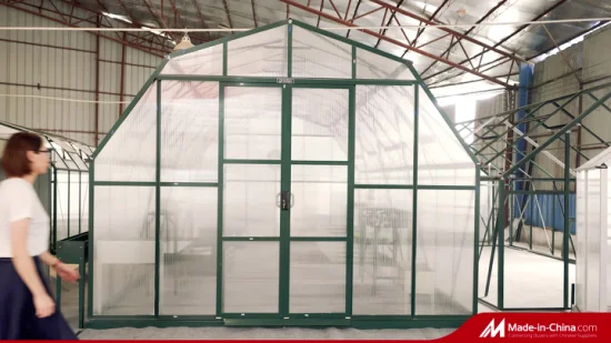 Multi Span 10mm Polycarbonate Sheet Greenhouse Barn Style Aluminium Garden Greenhouse Rdgu0816-10mm