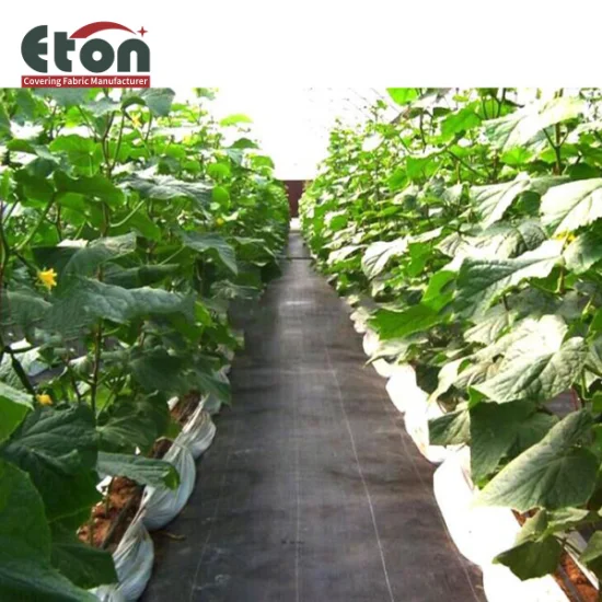 Ground Cover Mats Weed Mat Factory Weedmat Plastic Products for Greenhouse with High Quality